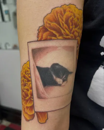 Colour marigolds framing a polaroid of a cat, on an arm — by Gabriel Gonzalez at Ministry Ink